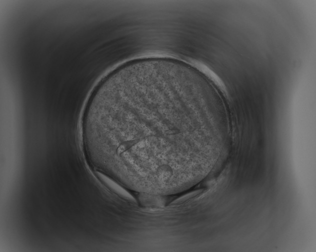 X0000100951380200807151327