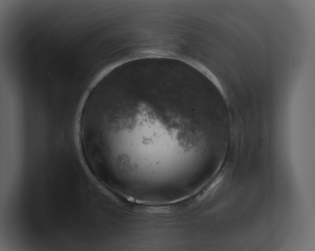 X0000100951381200807151327