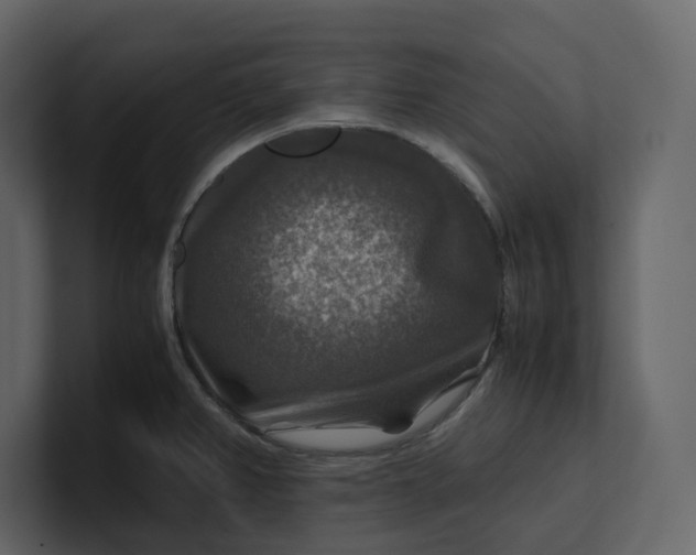 X0000100951382200807151327