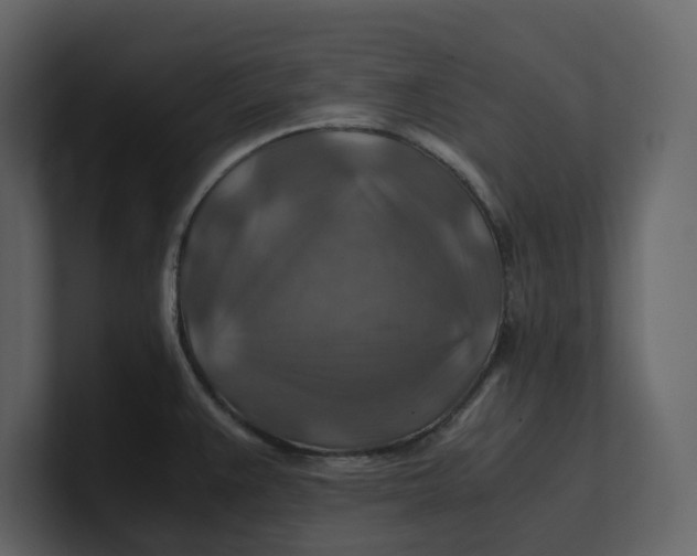 X0000100951383200807151327