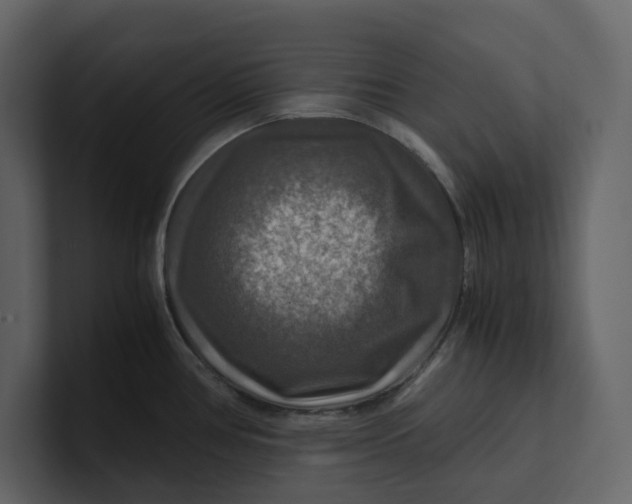 X0000100951386200807151327