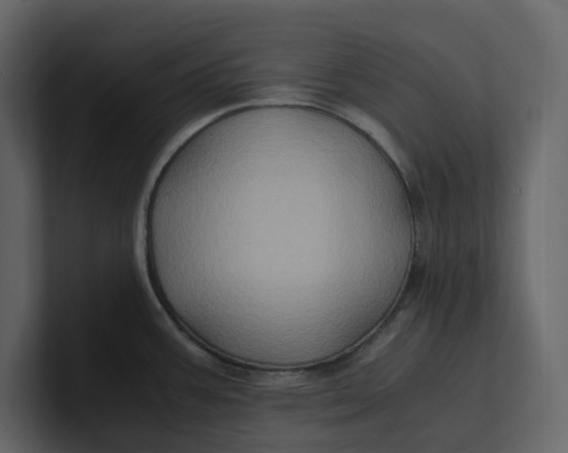 X0000100951387200807151327