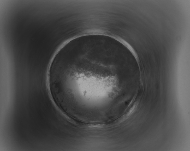 X0000100951389200807151327