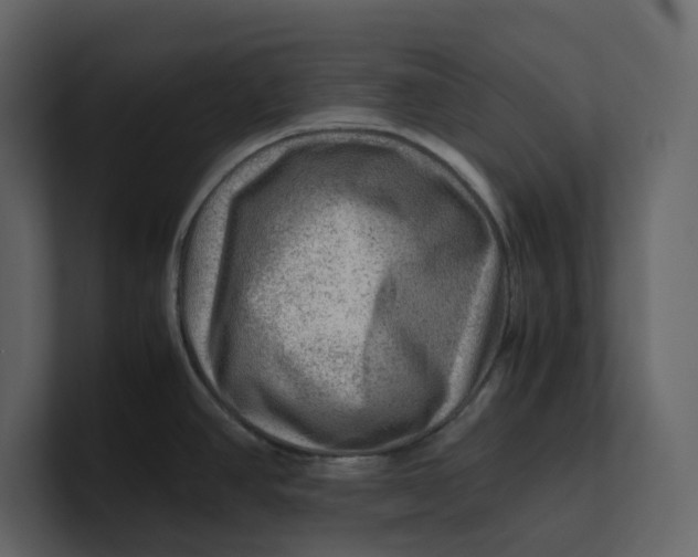 X0000100951390200807151327