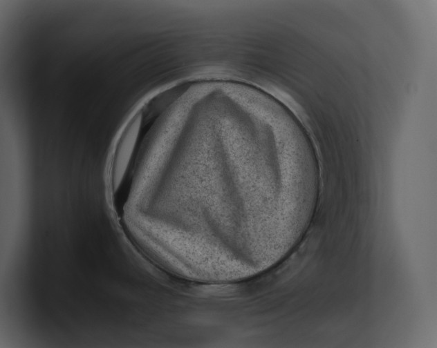 X0000100951392200807151327