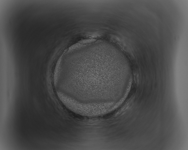 X0000100951393200807151327