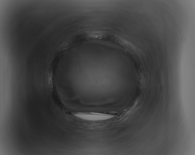 X0000100951394200807151327