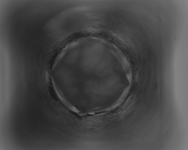 X0000100951397200807151327