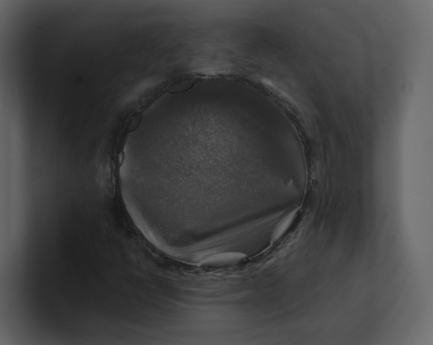 X0000100951398200807151327