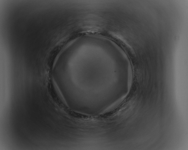 X0000100951399200807151327