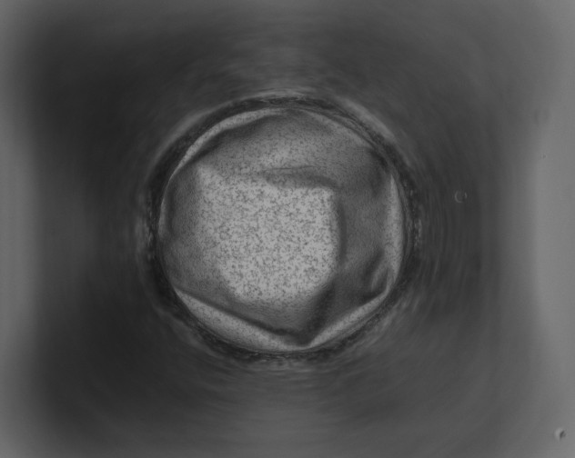 X0000100951400200807151327