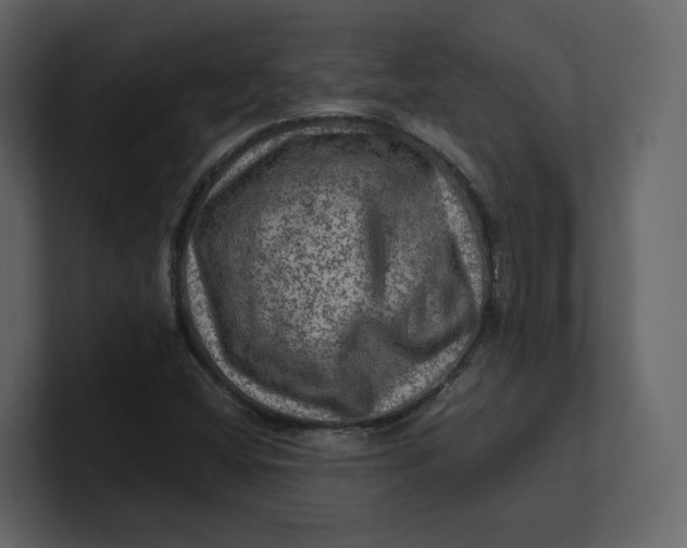 X0000100951404200807151327