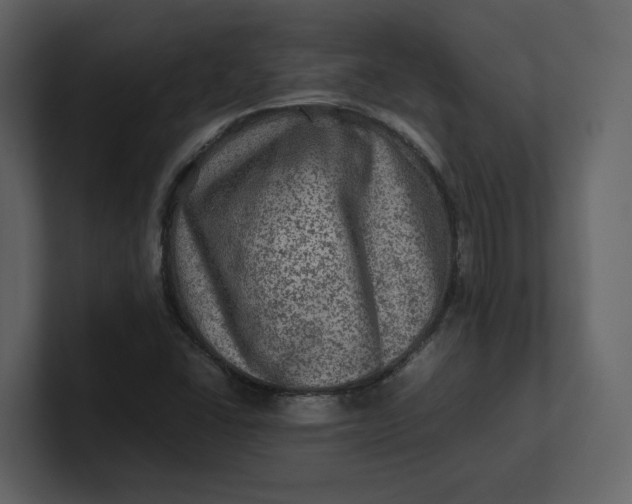 X0000100951406200807151327