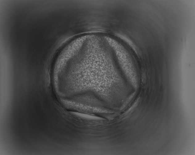 X0000100951407200807151327