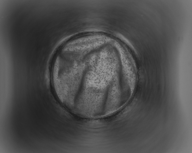 X0000100951408200807151327