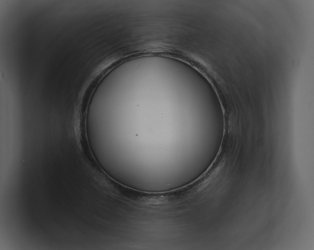 X0000100951410200807151327