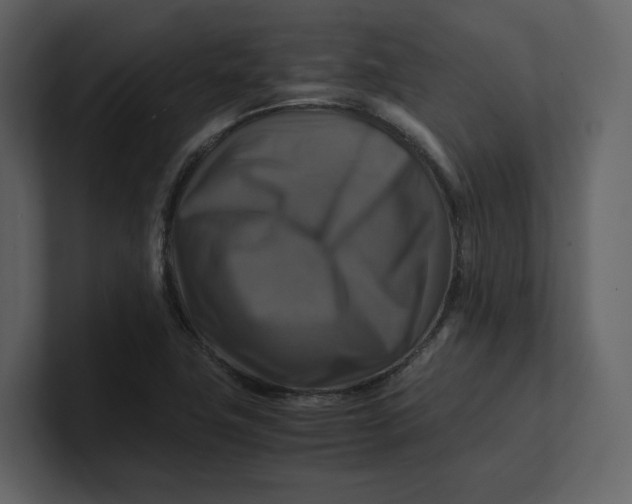 X0000100951411200807151327