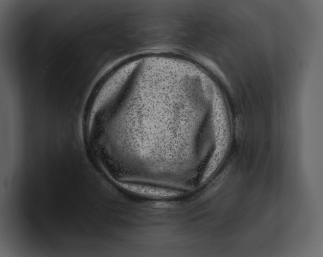 X0000100951412200807151327