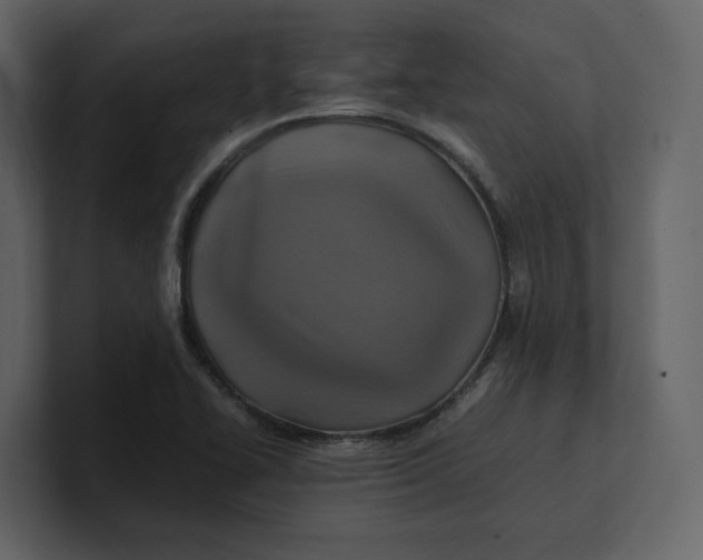 X0000100951414200807151327