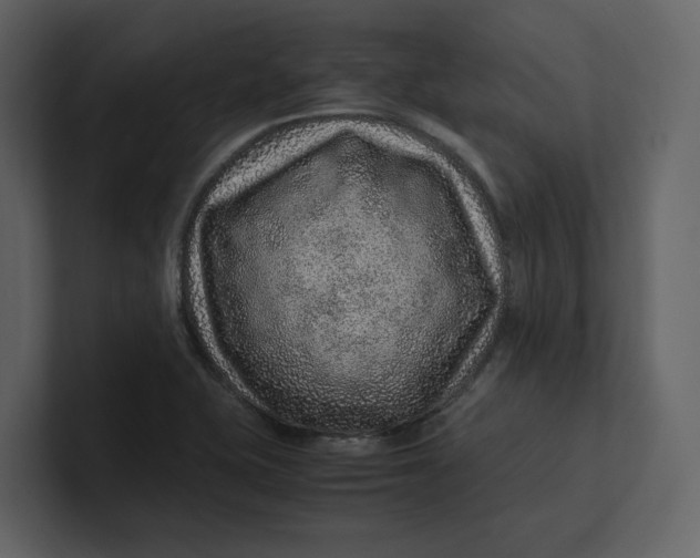 X0000100951415200807151327