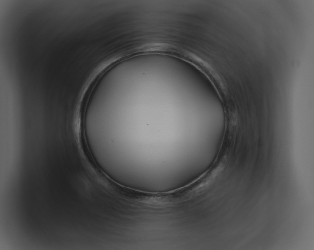 X0000100951418200807151327