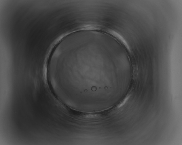 X0000100951419200807151327