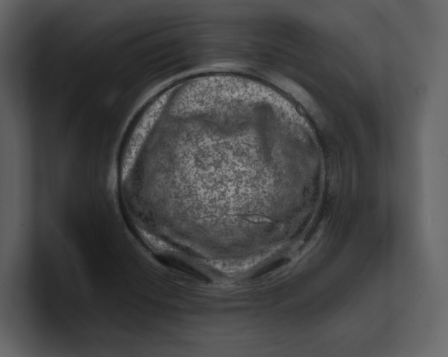 X0000100951420200807151327