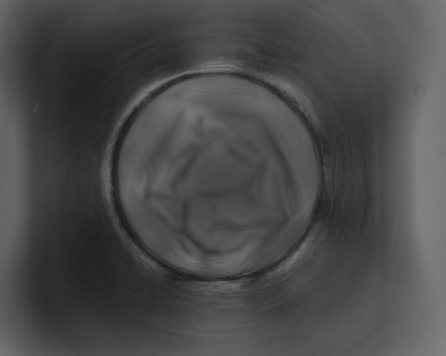 X0000100951422200807151327