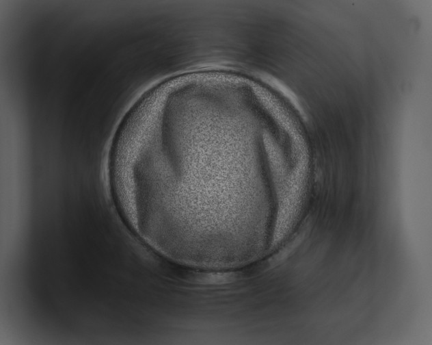 X0000100951423200807151327