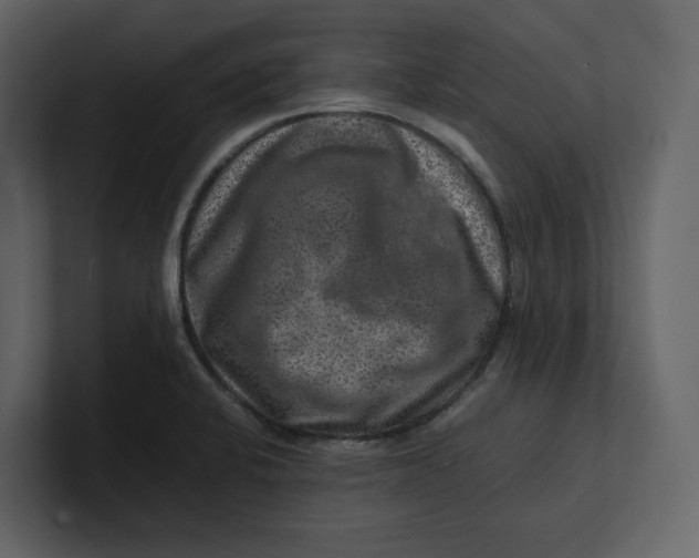 X0000100951424200807151327