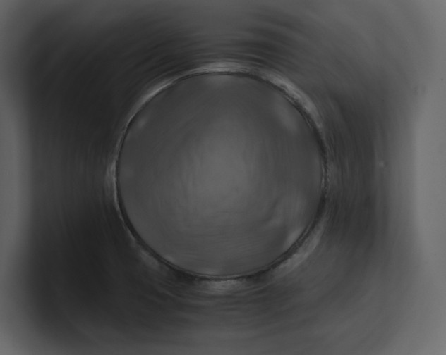 X0000100951425200807151327