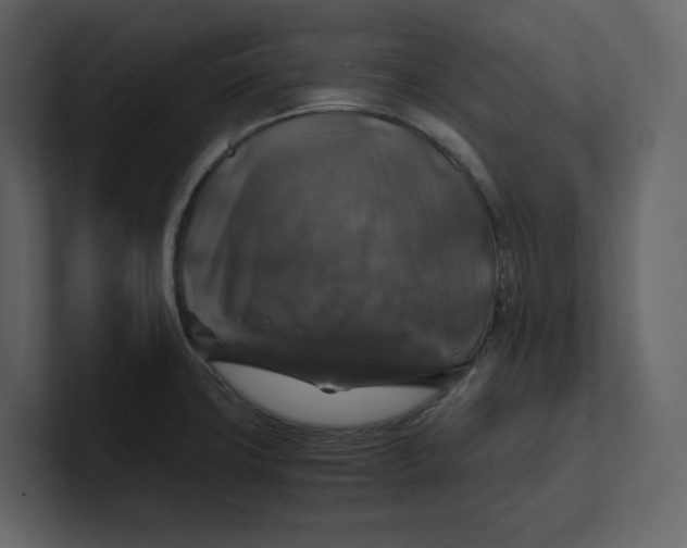 X0000100951427200807151327