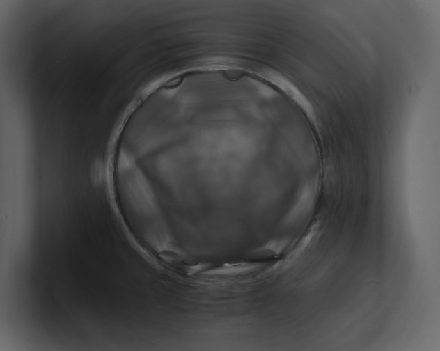 X0000100951429200807151327