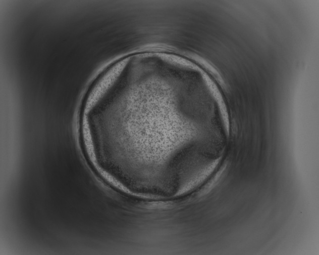 X0000100951430200807151327