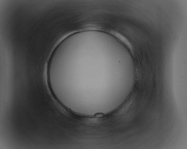 X0000100951431200807151327