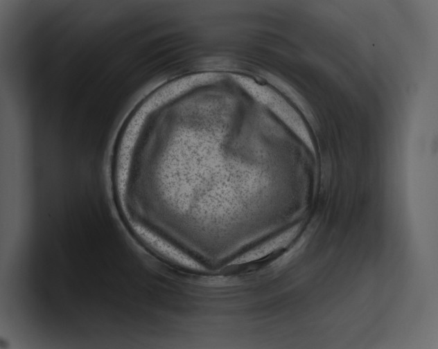 X0000100951434200807151327