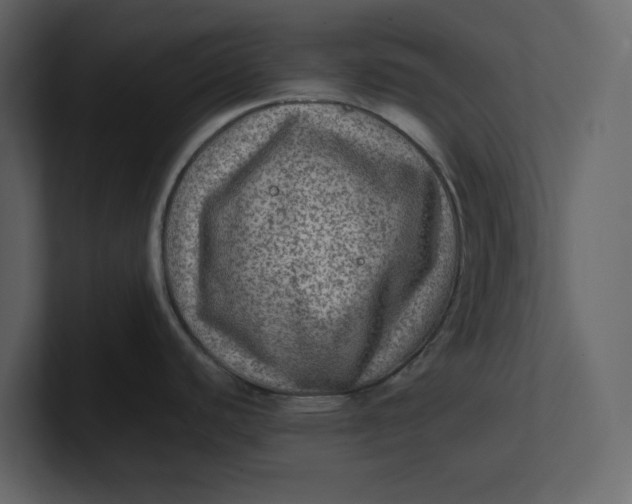 X0000100951440200807151327