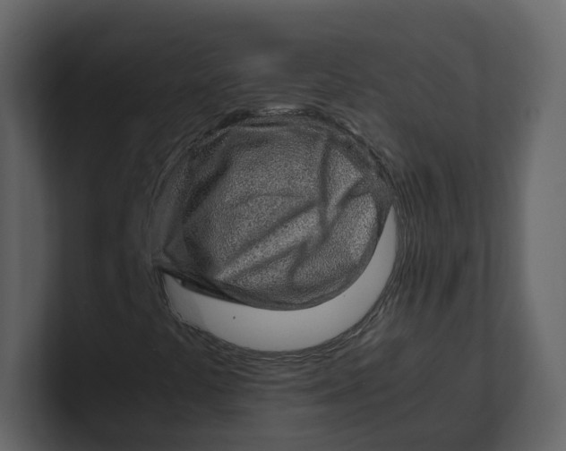 X0000100951441200807151327