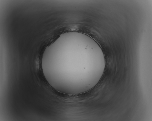 X0000100951442200807151327