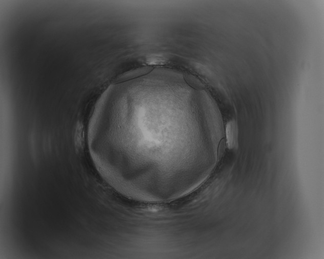 X0000100951443200807151327