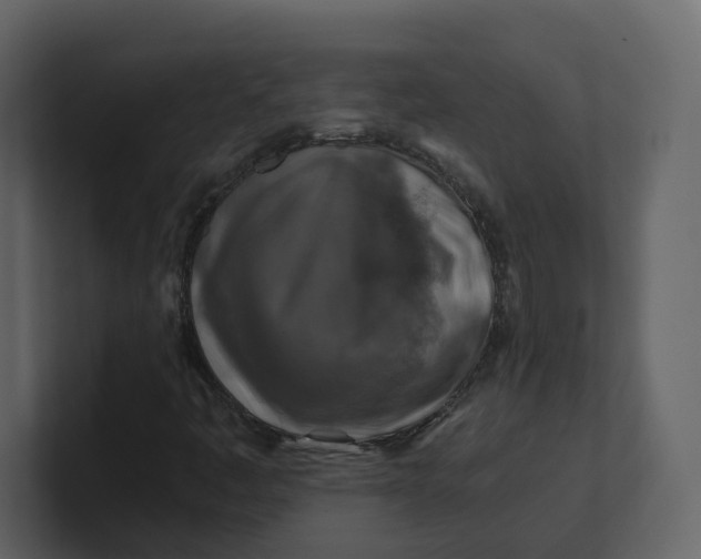 X0000100951445200807151327