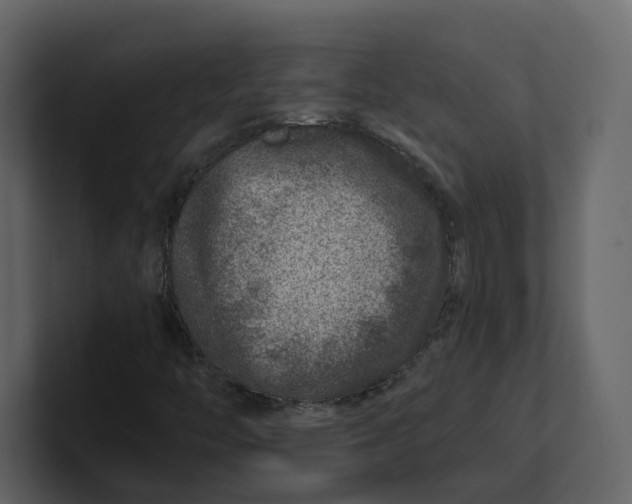 X0000100951446200807151327