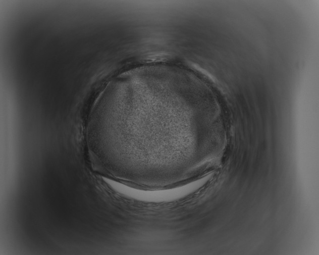 X0000100951447200807151326