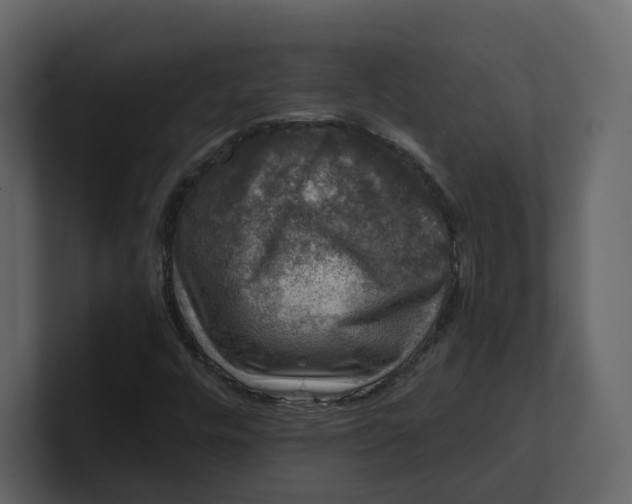 X0000100951448200807151326