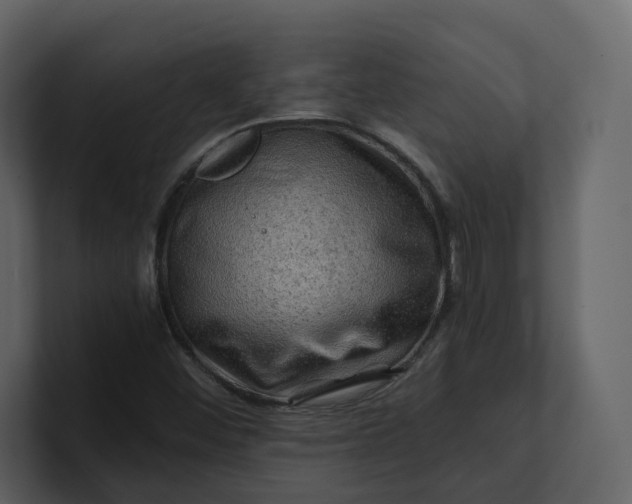 X0000100951452200807151326