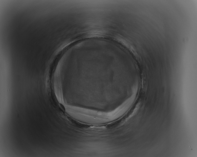 X0000100951453200807151326