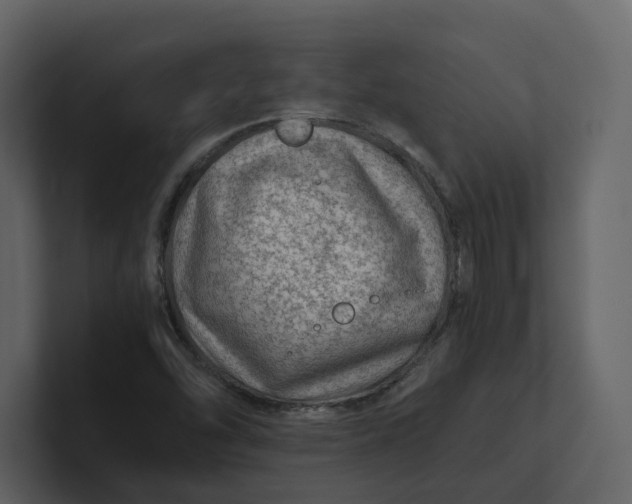 X0000100951454200807151326