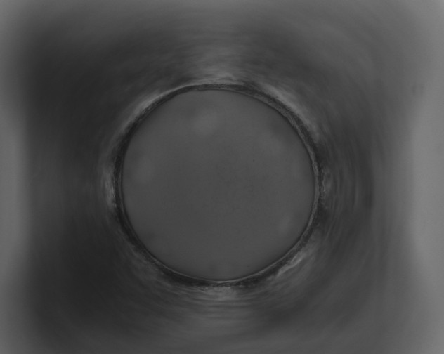 X0000100951455200807151326