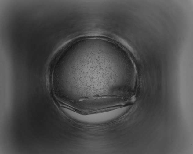 X0000100951456200807151326