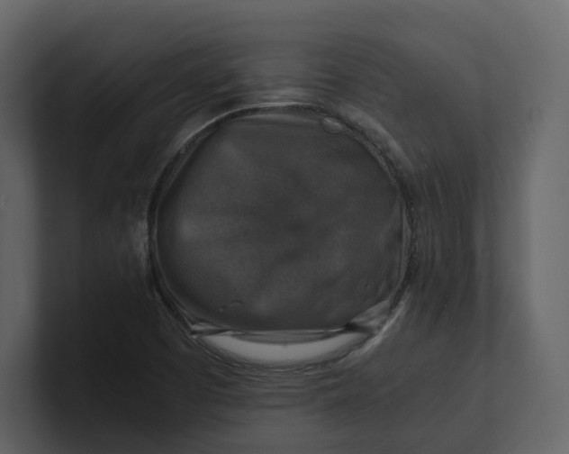 X0000100951457200807151326